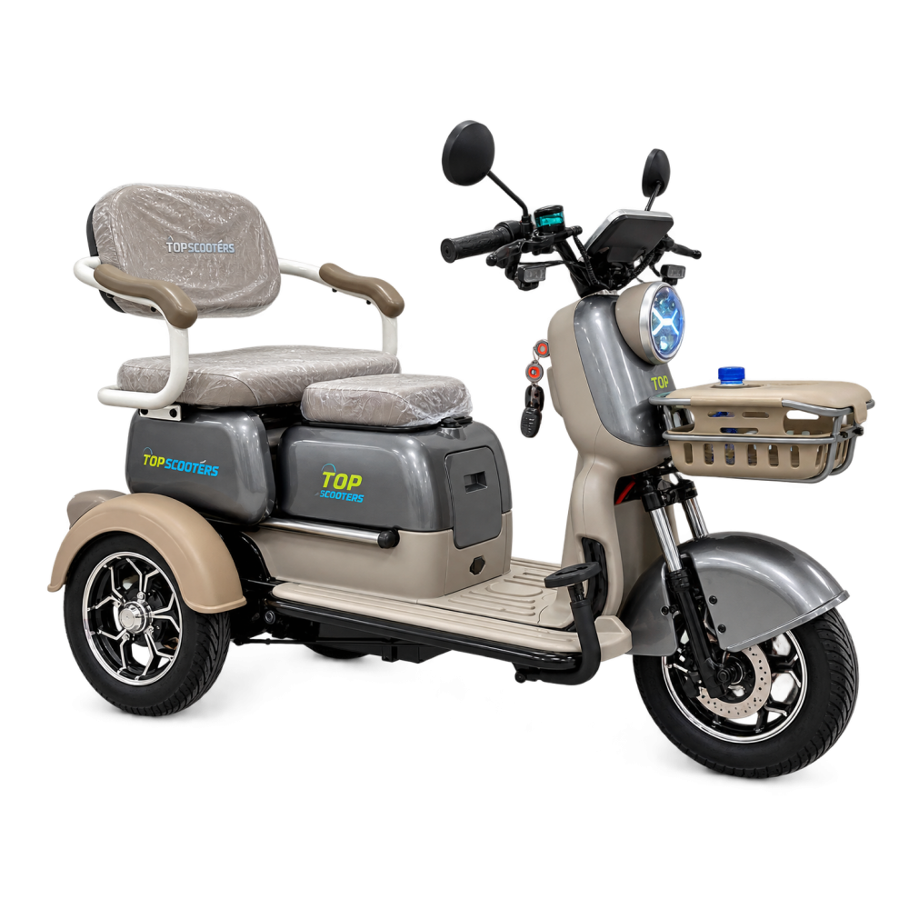 Електрическа триколка със задно задвижване X3 - 60V-28AH 800W