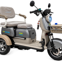 Електрическа триколка със задно задвижване X3 - 60V-28AH 800W
