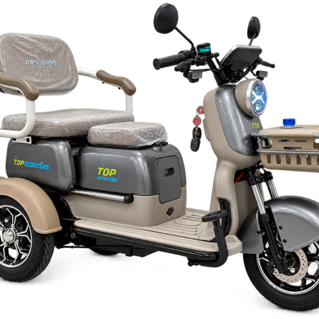 Електрическа триколка със задно задвижване X3 - 60V-28AH 800W
