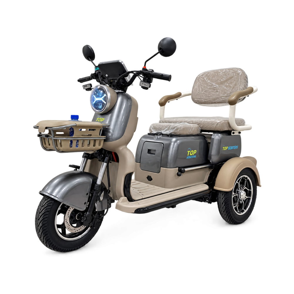 Електрическа триколка със задно задвижване X3 - 60V-28AH 800W