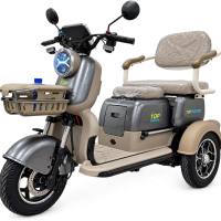 Електрическа триколка със задно задвижване X3 - 60V-28AH 800W