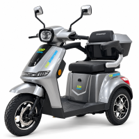 Електричска триколка Луксор * 60V28A Електричска триколка Луксор * 60V28A